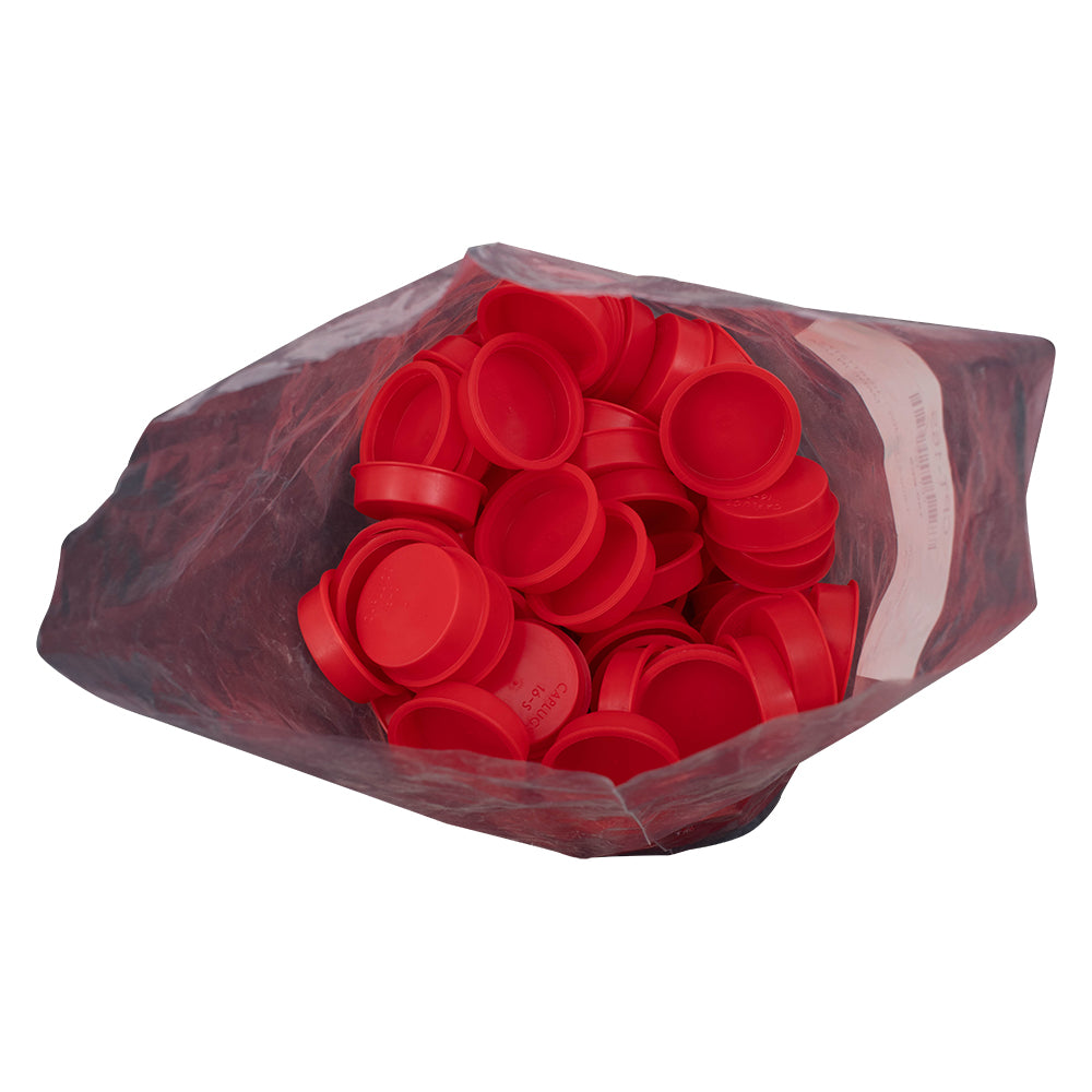 100 Piece Bag Transmission 16S type Tail Shaft End Port Output Caps Fluid Yolk Plugs for Auto Repair Shop DIY